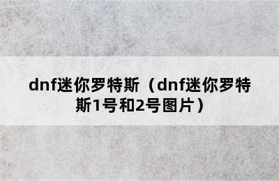 dnf迷你罗特斯（dnf迷你罗特斯1号和2号图片）