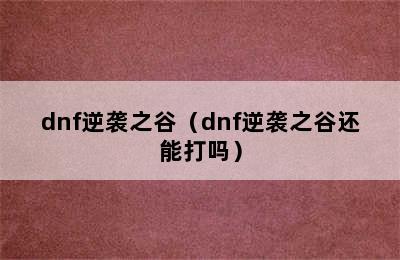 dnf逆袭之谷（dnf逆袭之谷还能打吗）