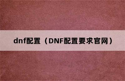 dnf配置（DNF配置要求官网）