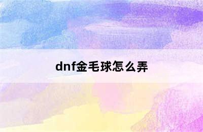 dnf金毛球怎么弄