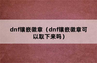 dnf镶嵌徽章（dnf镶嵌徽章可以取下来吗）