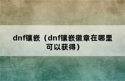 dnf镶嵌（dnf镶嵌徽章在哪里可以获得）