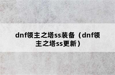 dnf领主之塔ss装备（dnf领主之塔ss更新）