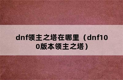 dnf领主之塔在哪里（dnf100版本领主之塔）