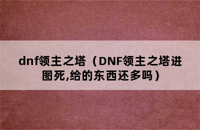 dnf领主之塔（DNF领主之塔进图死,给的东西还多吗）