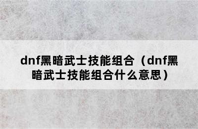 dnf黑暗武士技能组合（dnf黑暗武士技能组合什么意思）