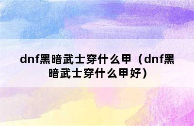 dnf黑暗武士穿什么甲（dnf黑暗武士穿什么甲好）