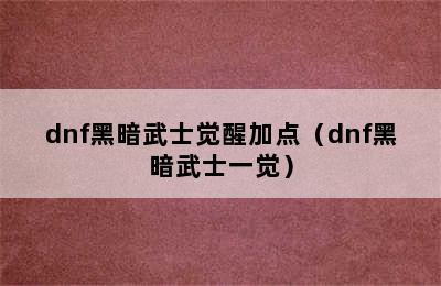 dnf黑暗武士觉醒加点（dnf黑暗武士一觉）