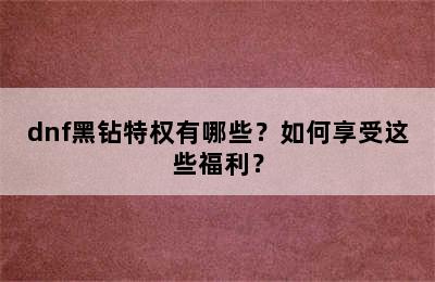 dnf黑钻特权有哪些？如何享受这些福利？