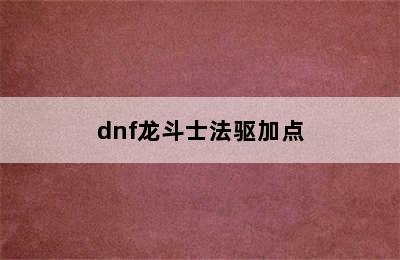 dnf龙斗士法驱加点