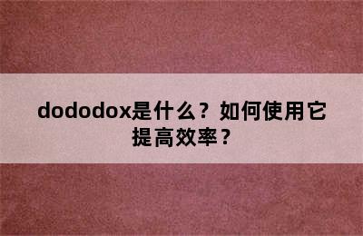 dododox是什么？如何使用它提高效率？