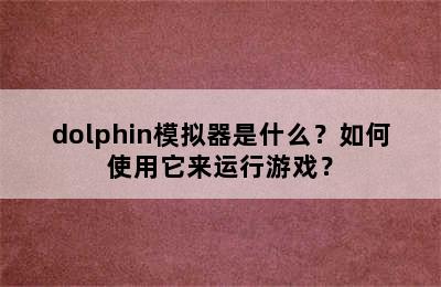 dolphin模拟器是什么？如何使用它来运行游戏？