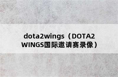 dota2wings（DOTA2WINGS国际邀请赛录像）