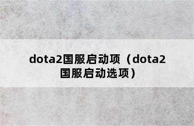 dota2国服启动项（dota2国服启动选项）