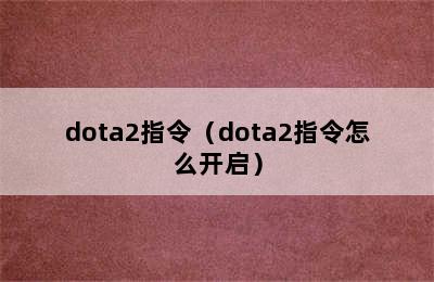 dota2指令（dota2指令怎么开启）