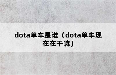 dota单车是谁（dota单车现在在干嘛）