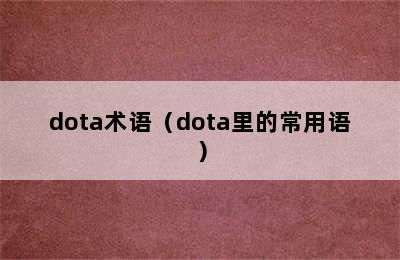 dota术语（dota里的常用语）