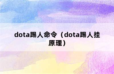 dota踢人命令（dota踢人挂原理）