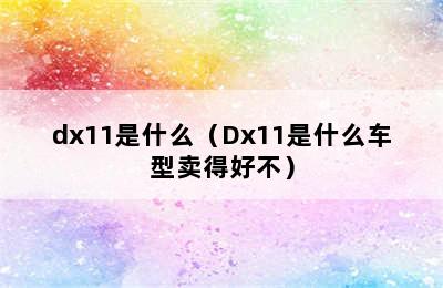 dx11是什么（Dx11是什么车型卖得好不）