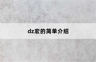 dz宏的简单介绍