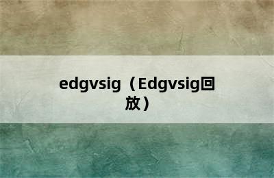 edgvsig（Edgvsig回放）