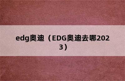 edg奥迪（EDG奥迪去哪2023）