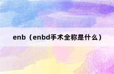 enb（enbd手术全称是什么）