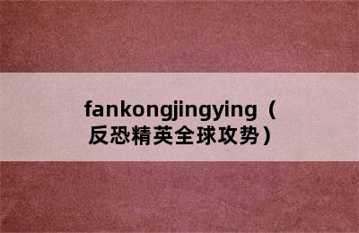 fankongjingying（反恐精英全球攻势）