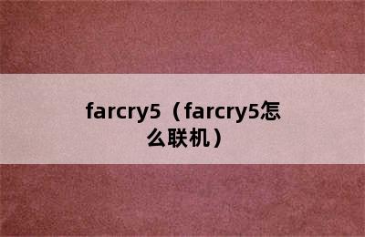 farcry5（farcry5怎么联机）