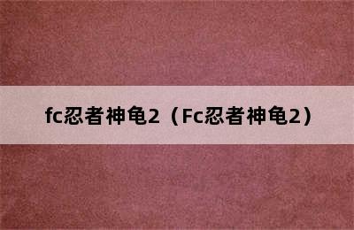 fc忍者神龟2（Fc忍者神龟2）