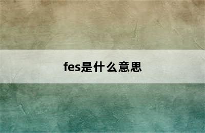 fes是什么意思
