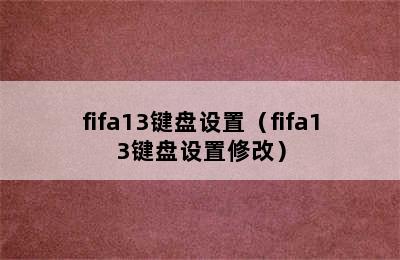 fifa13键盘设置（fifa13键盘设置修改）