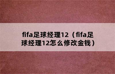 fifa足球经理12（fifa足球经理12怎么修改金钱）