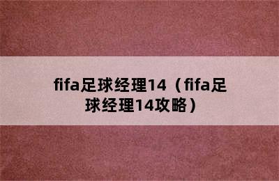 fifa足球经理14（fifa足球经理14攻略）