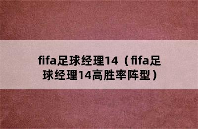 fifa足球经理14（fifa足球经理14高胜率阵型）