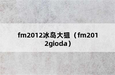 fm2012冰岛大狙（fm2012gioda）