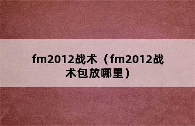 fm2012战术（fm2012战术包放哪里）