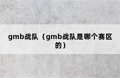 gmb战队（gmb战队是哪个赛区的）