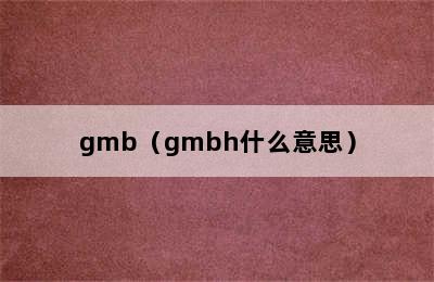 gmb（gmbh什么意思）