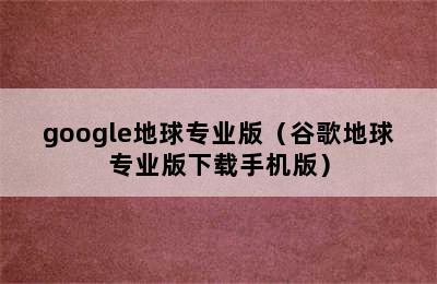 google地球专业版（谷歌地球专业版下载手机版）