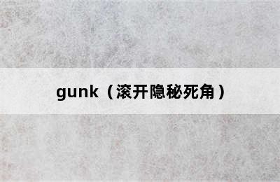 gunk（滚开隐秘死角）