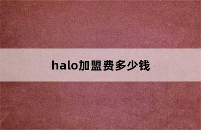 halo加盟费多少钱