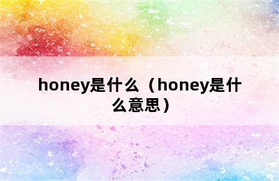 honey是什么（honey是什么意思）