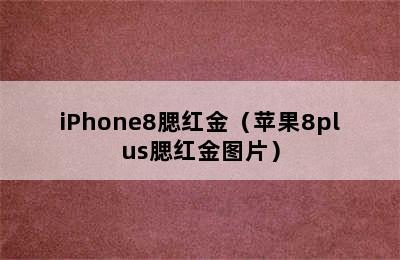 iPhone8腮红金（苹果8plus腮红金图片）