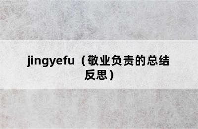 jingyefu（敬业负责的总结反思）