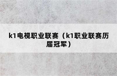 k1电视职业联赛（k1职业联赛历届冠军）