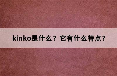 kinko是什么？它有什么特点？