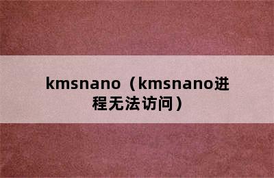 kmsnano（kmsnano进程无法访问）