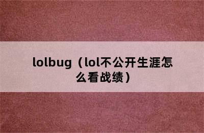 lolbug（lol不公开生涯怎么看战绩）