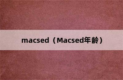 macsed（Macsed年龄）